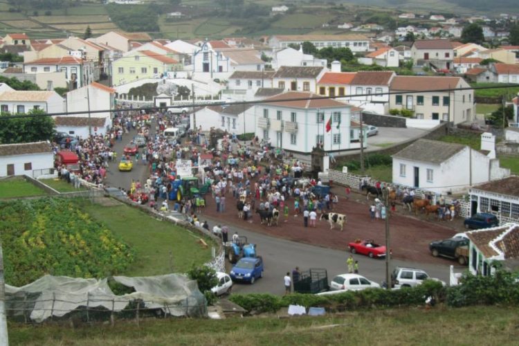 Festejar